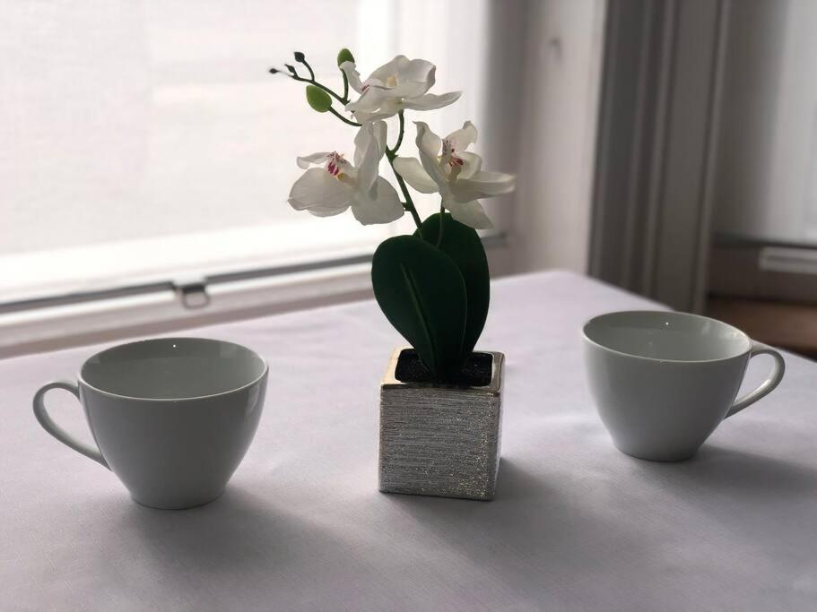 Marcela'S Place - Private Studio Near Heathrow 웨스트드레이톤 외부 사진